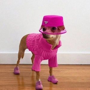 Meet your Posher, Virginia